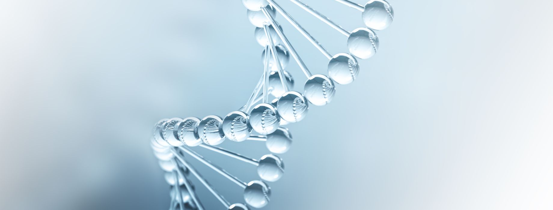 LifeMax NR: High-Quality Nicotinamide Riboside - NAD+ Supplement